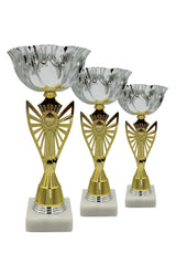 CTS 082 | SET de 3 Cupe Sportive - TrophyShop