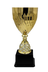 CTB 023 | Cupa Sportiva - TrophyShop