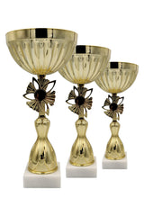 CTS 108 | SET de 3 Cupe Sportive - TrophyShop
