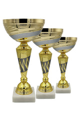 CTS 077 | SET de 3 Cupe Sportive - TrophyShop