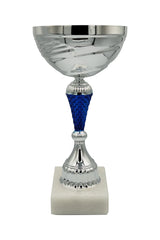 CTB 100 | Cupa Sportiva - TrophyShop