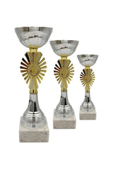 CTS 289 | SET de 3 Cupe Sportive - TrophyShop