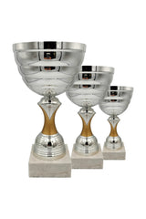 CTS 293 | SET de 3 Cupe Sportive - TrophyShop