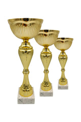 CTS 275 | SET de 3 Cupe Sportive - TrophyShop