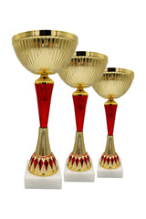 CTS 253 | SET de 3 Cupe Sportive - TrophyShop