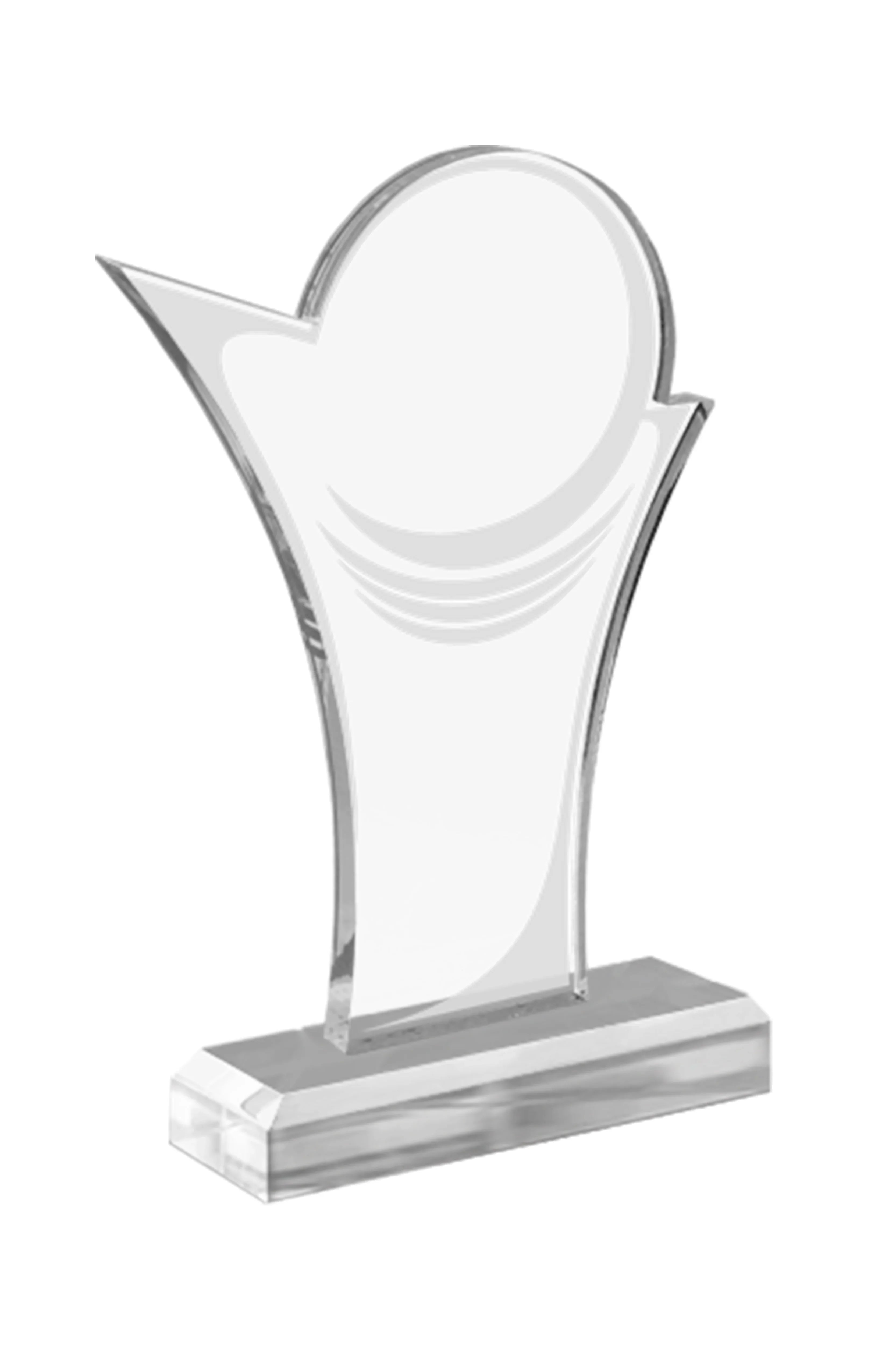 ASW 301 | Trofeu din Acril Personalizabil - TrophyShop