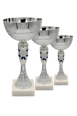 CTS 112 | SET de 3 Cupe Sportive - TrophyShop