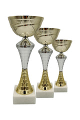 CTS 311 | SET de 3 Cupe Sportive - TrophyShop