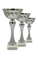 CTS 047 | SET de 3 Cupe Sportive - TrophyShop