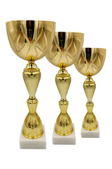 CTS 111 | SET de 3 Cupe Sportive - TrophyShop