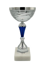 CTB 100 | Cupa Sportiva - TrophyShop