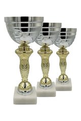 CTS 015 | SET de 3 Cupe Sportive - TrophyShop