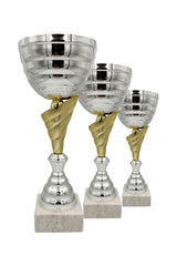 CTS 307 | SET de 3 Cupe Sportive - TrophyShop