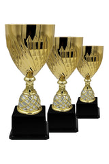 CTS 023 | SET de 3 Cupe Sportive - TrophyShop