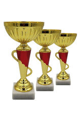 CTS 006 | SET de 3 Cupe Sportive - TrophyShop