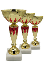 CTS 019 | SET de 3 Cupe Sportive - TrophyShop