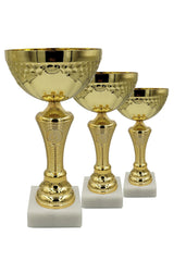 CTS 044 | SET de 3 Cupe Sportive - TrophyShop