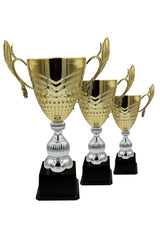 CTS 039 | SET de 3 Cupe Sportive - TrophyShop