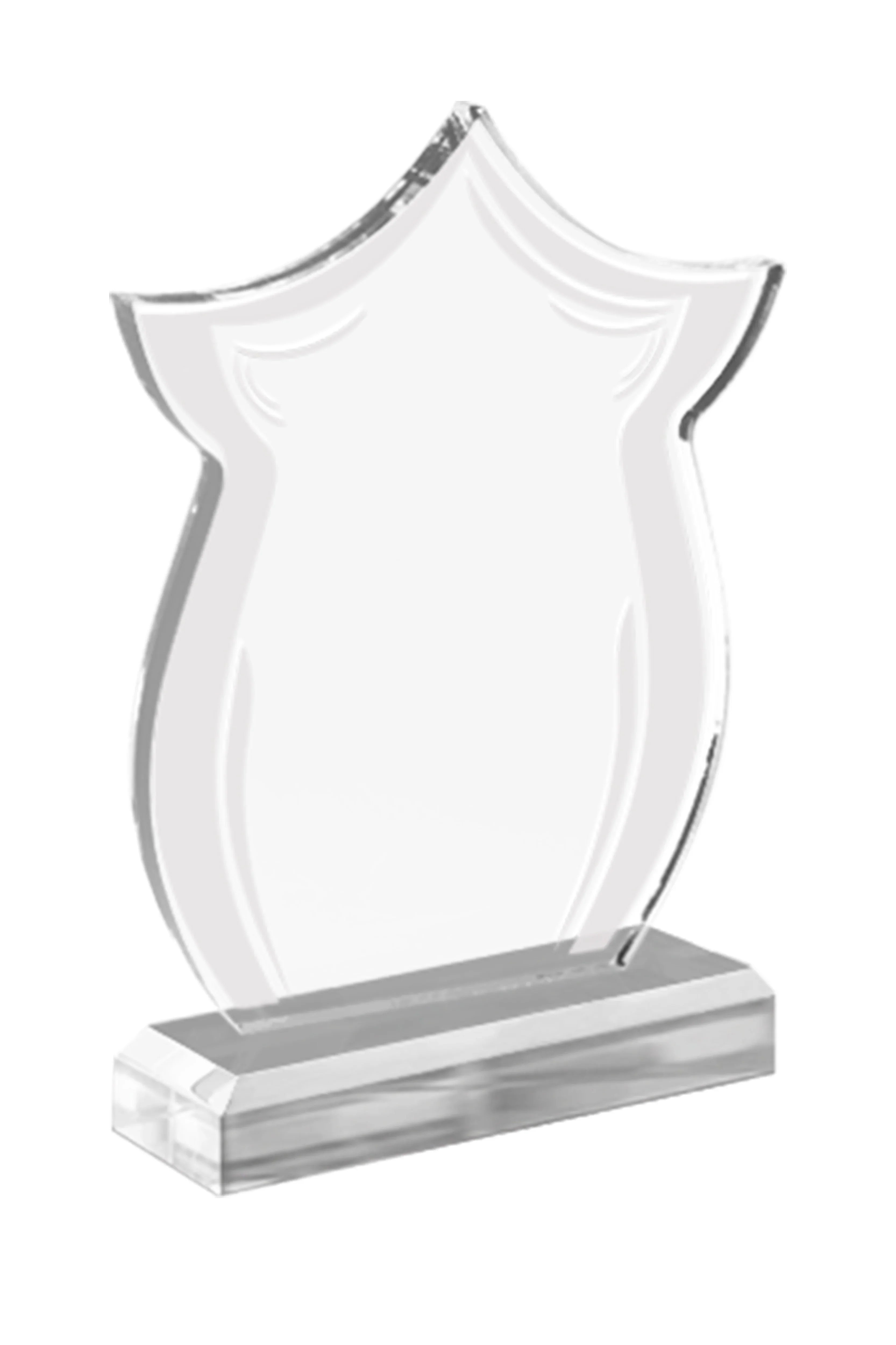 ASW 307 | Trofeu din Acril Personalizabil - TrophyShop