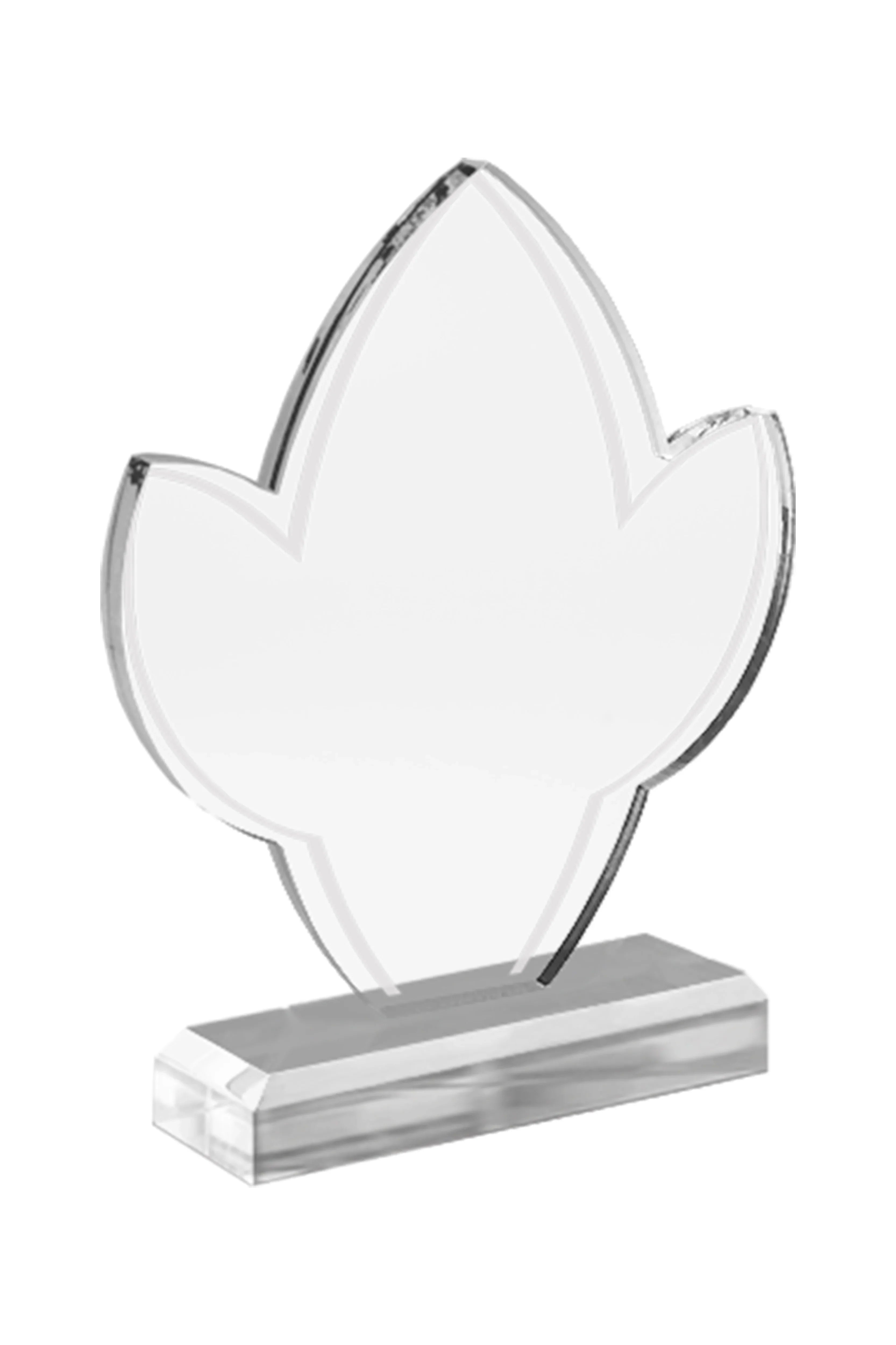 ASW 407 | Trofeu din Acril Personalizabil - TrophyShop