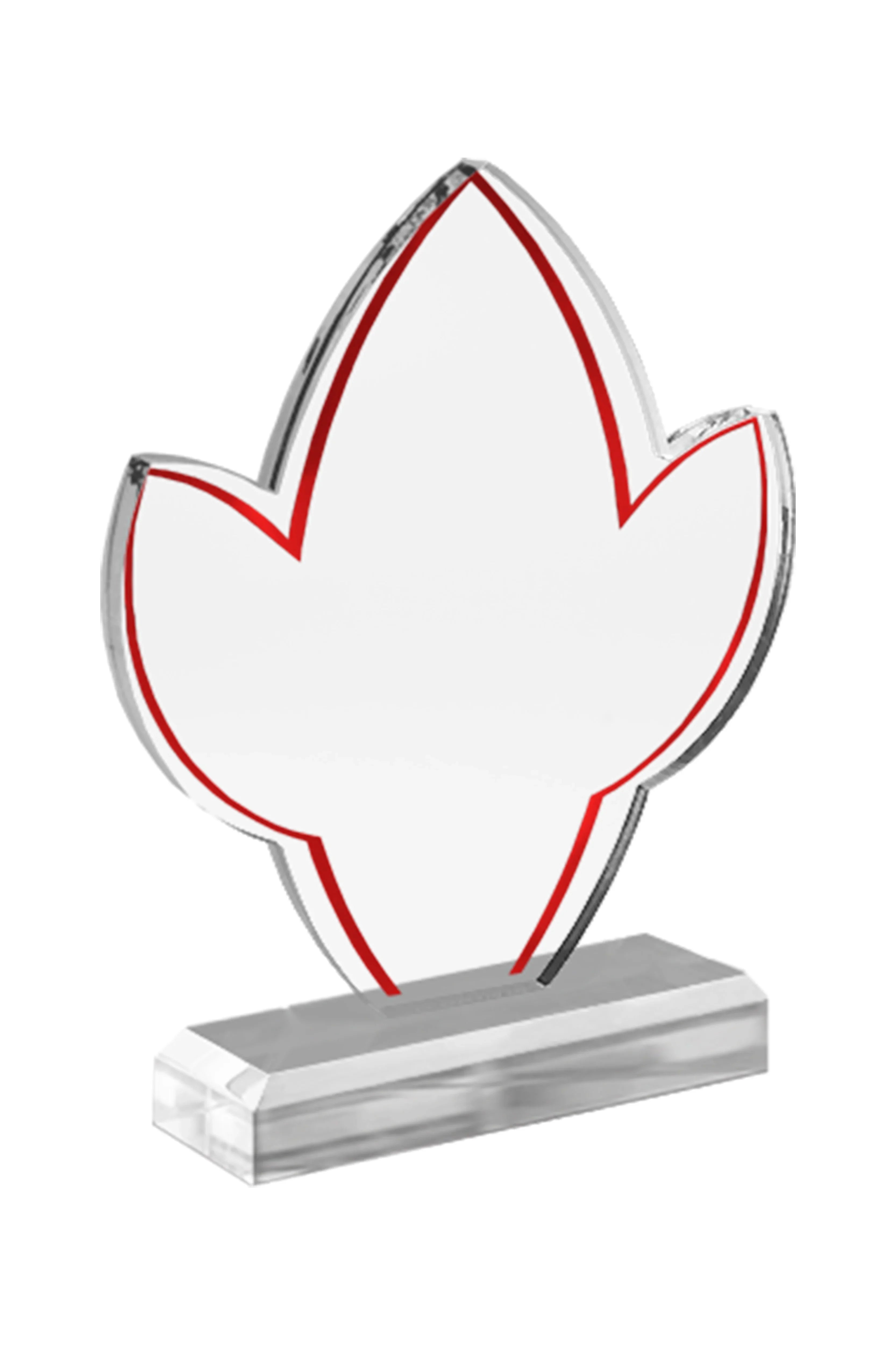 ASW 407 | Trofeu din Acril Personalizabil - TrophyShop