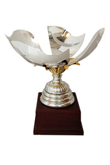 CTB 354 | Cupa Sportiva
