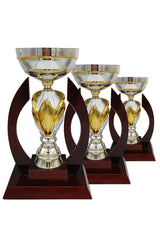 CTS 370 | SET de 3 Trofee Sportive