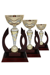 CTS 371 | SET de 3 Trofee Sportive