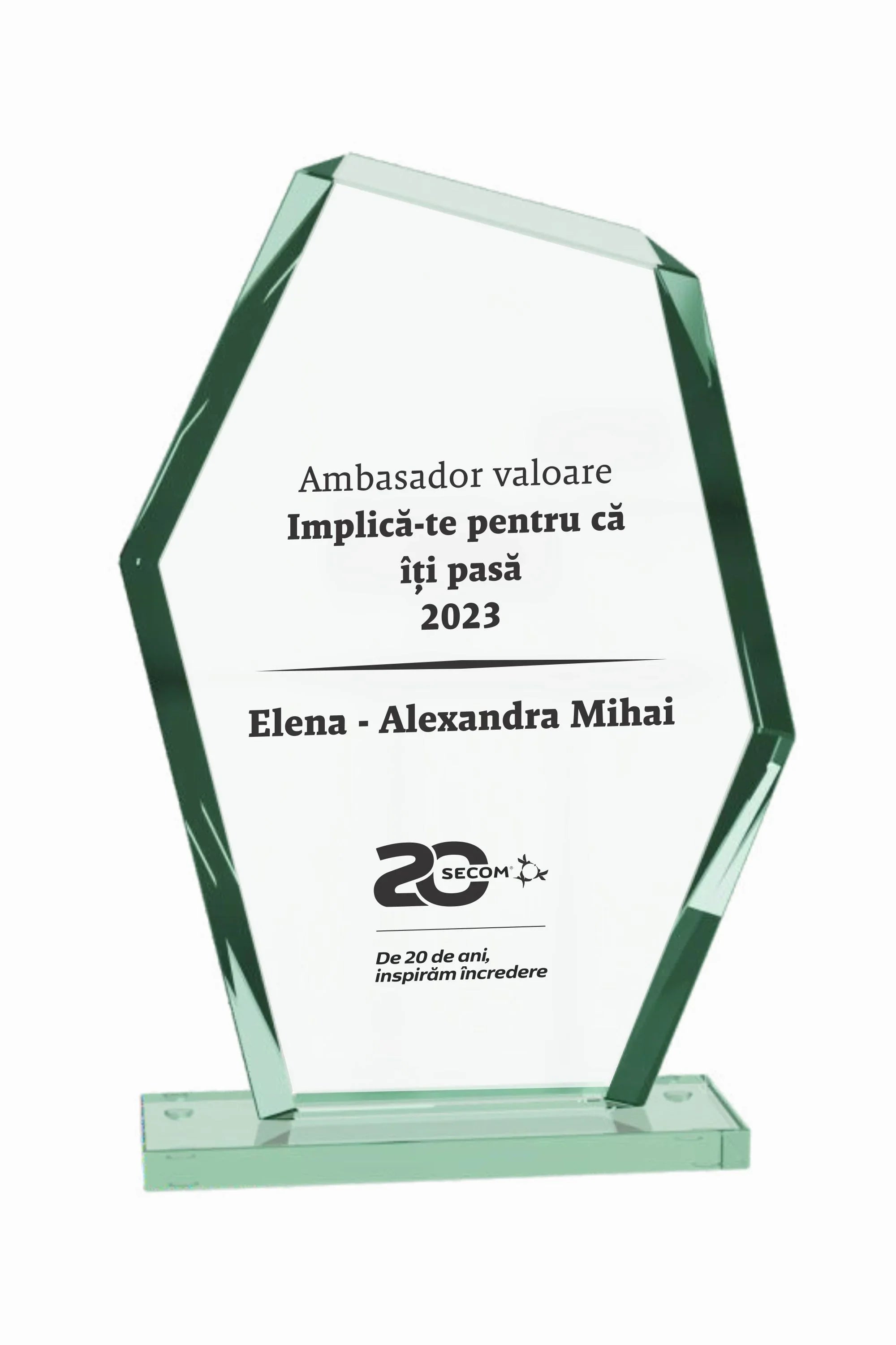 GSW 018 | Trofeu din Sticlă Personalizabil - TrophyShop