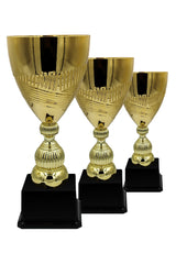 CTS 022 | SET de 3 Cupe Sportive - TrophyShop