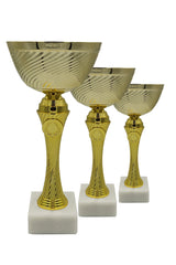 CTS 043 | SET de 3 Cupe Sportive - TrophyShop