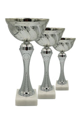 CTS 047 | SET de 3 Cupe Sportive - TrophyShop