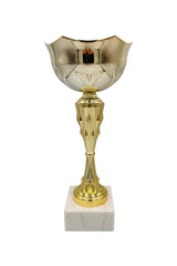CTB 171 | Cupa Sportiva - TrophyShop