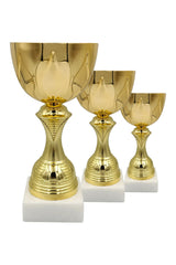 CTS 261 | SET de 3 Cupe Sportive - TrophyShop
