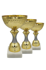 CTS 045 | SET de 3 Cupe Sportive - TrophyShop
